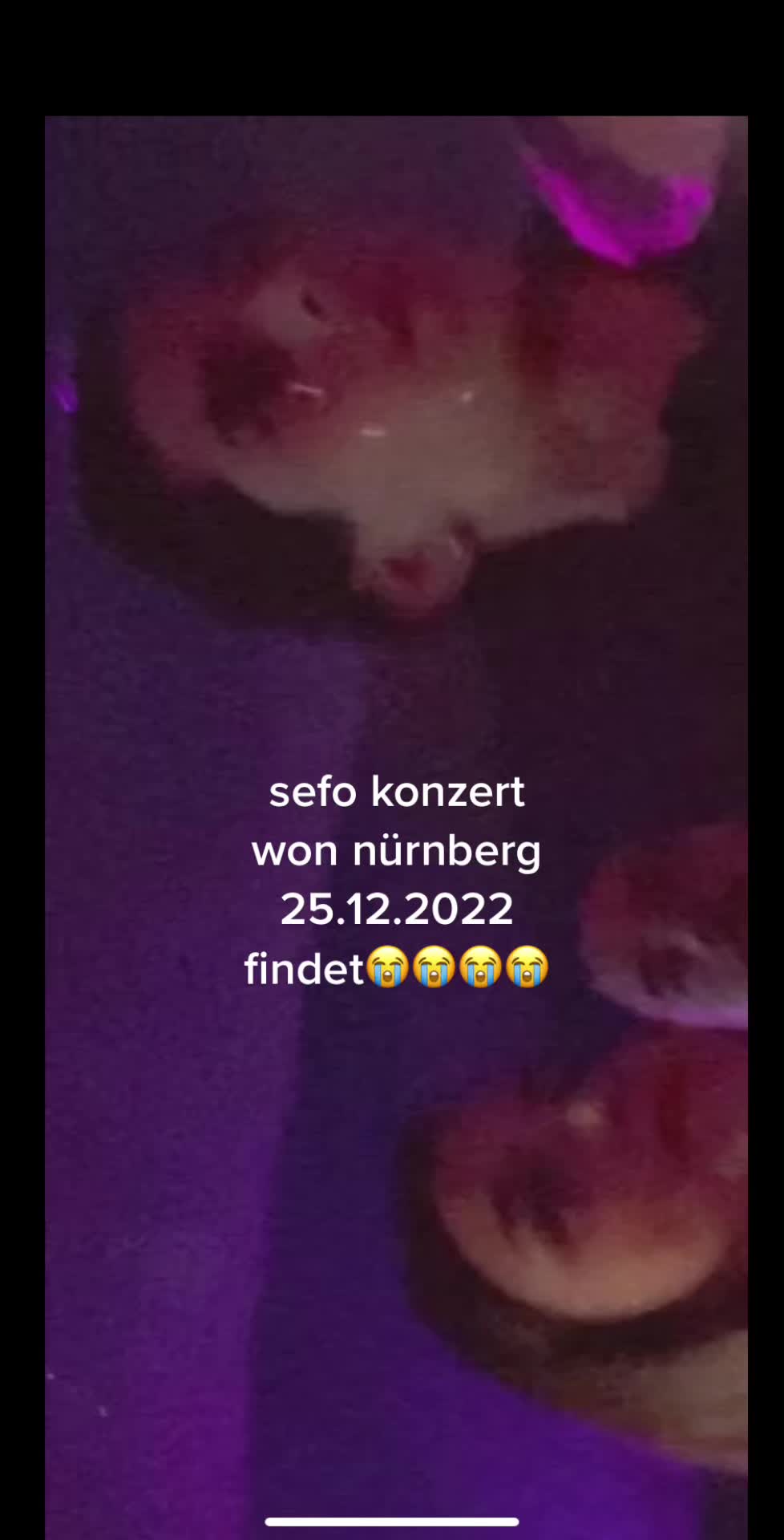 @findet