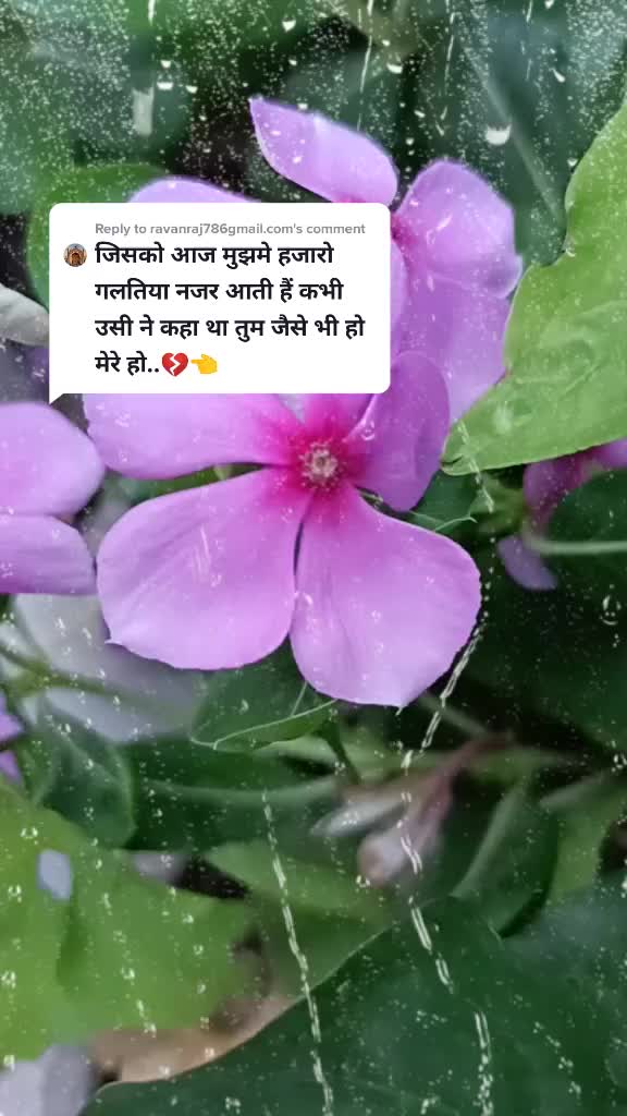 @kanchan meetu