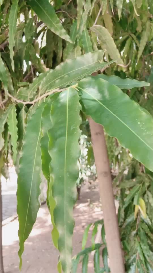 @Sangavi Jeyachandran