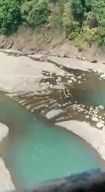 @tani562
