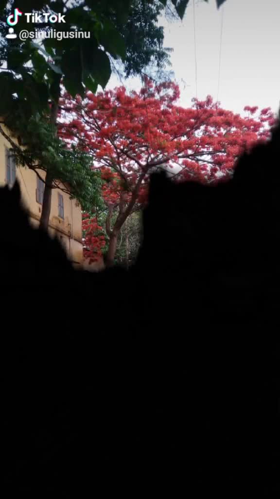 @കലിപ്പന്റെ കാന്താരി