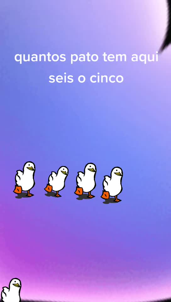 @Aline Tavares