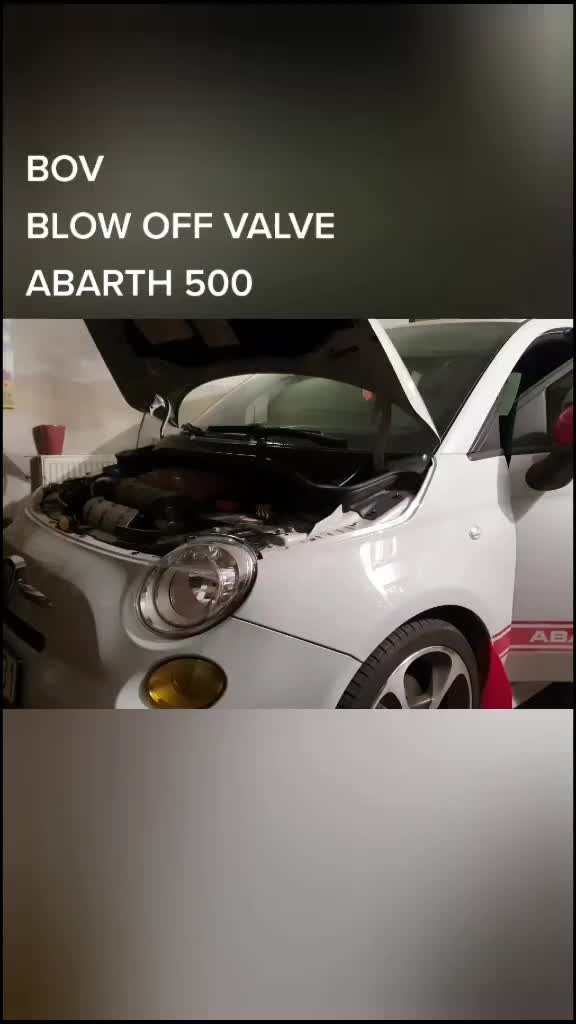 @user9479941427729