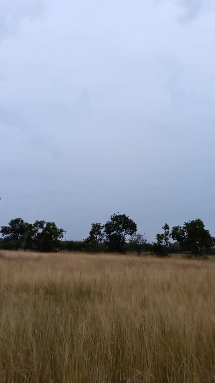 @uglyman303