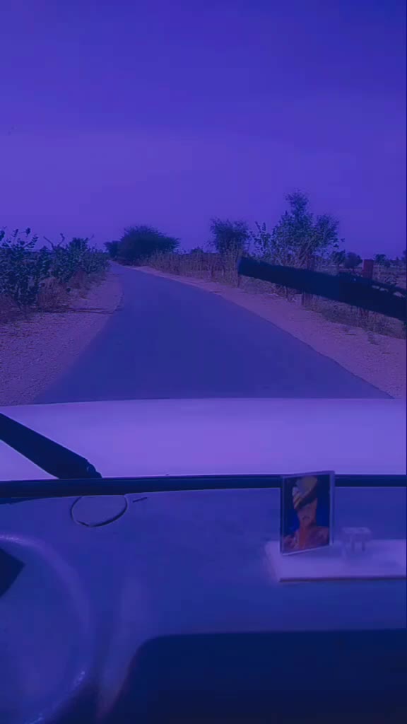 @Megh Banna 009