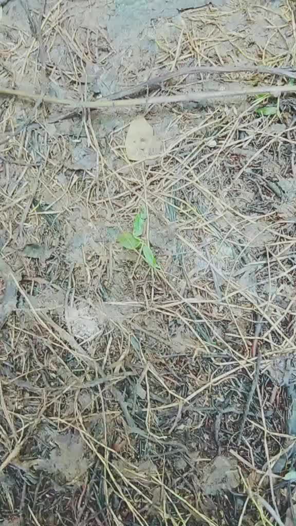 @SAJIKOTTAYAM