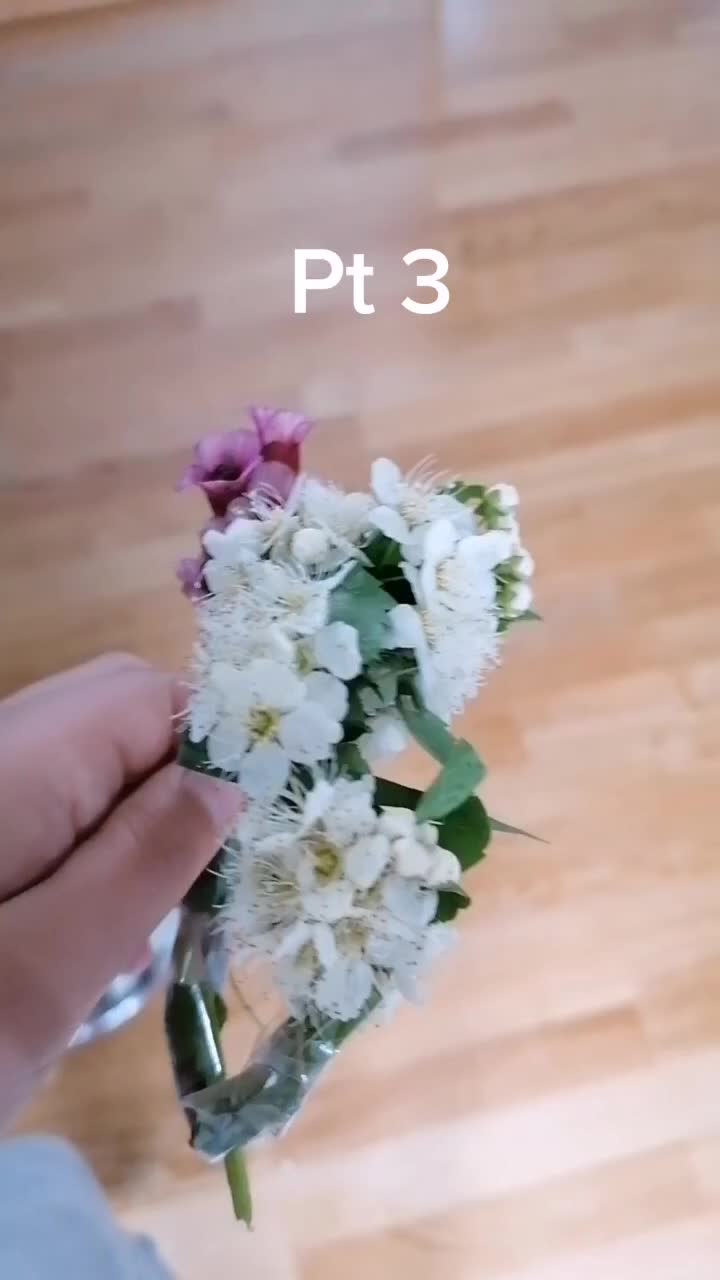 @Cockerspanielester