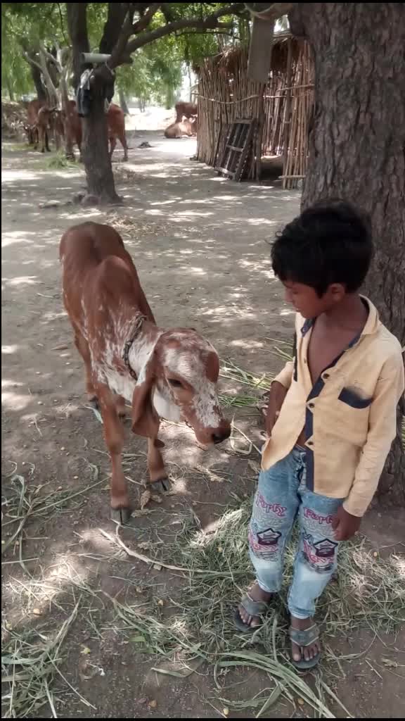 @Gopal Adgama