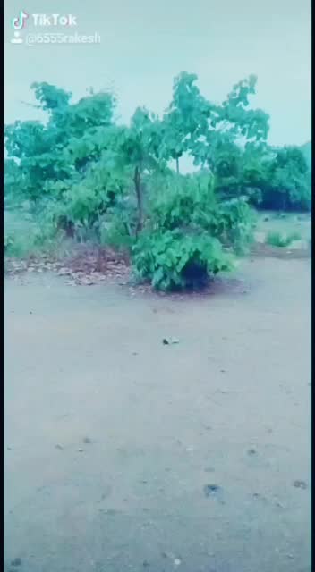 @Rahul Gundagani