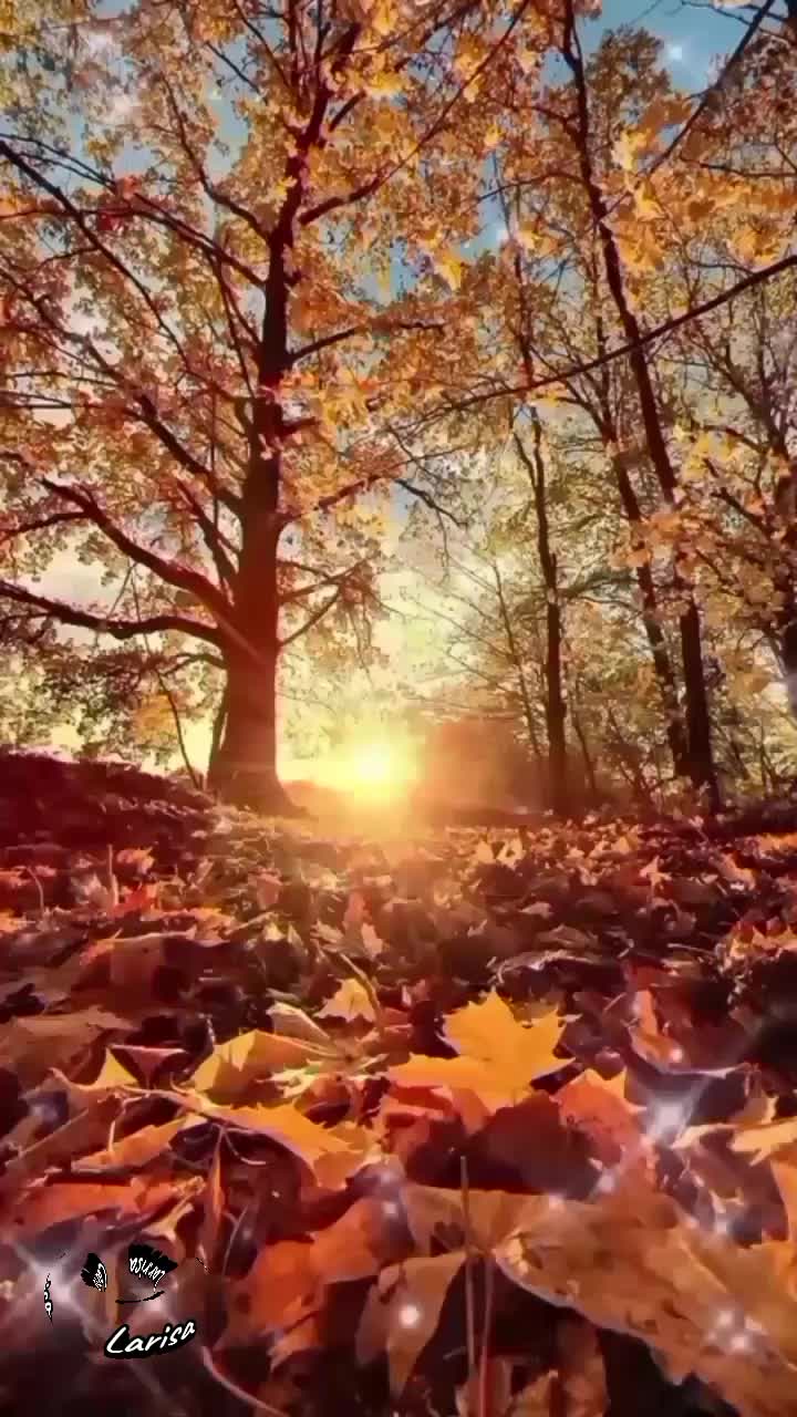 @ЛАРИСА