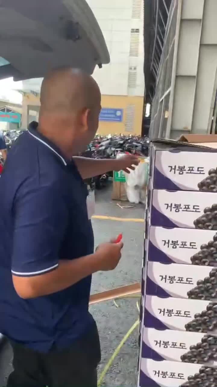 @Transfruits