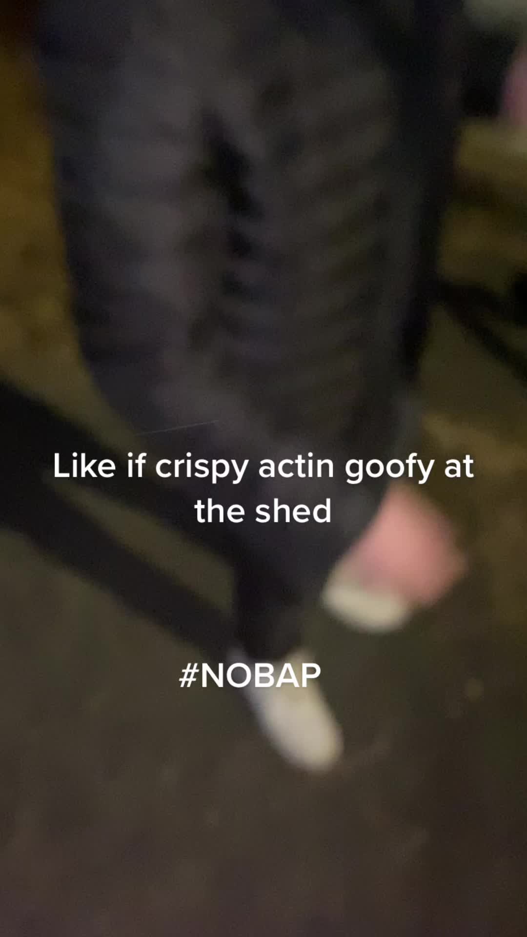 @Nobapexpert