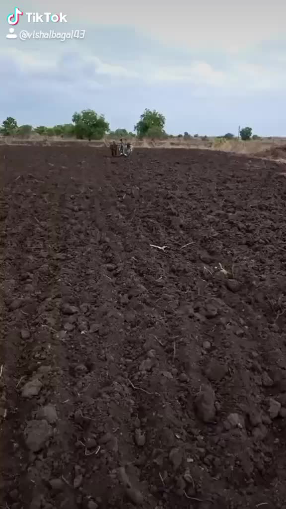 @बागल पाटिल
