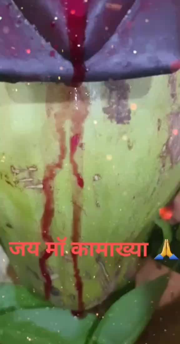 @Bubu maina saikia