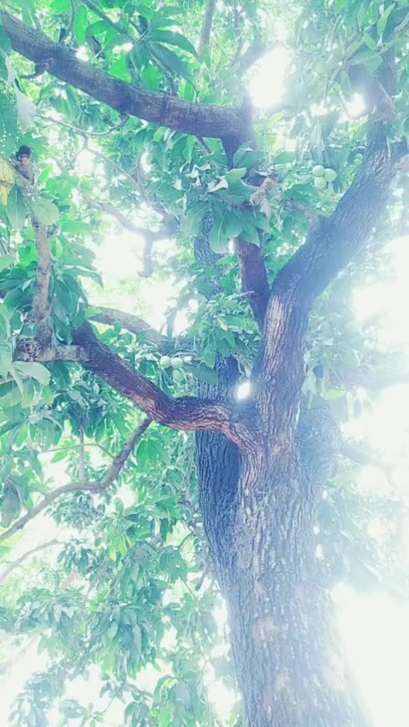 @brijesh yadav