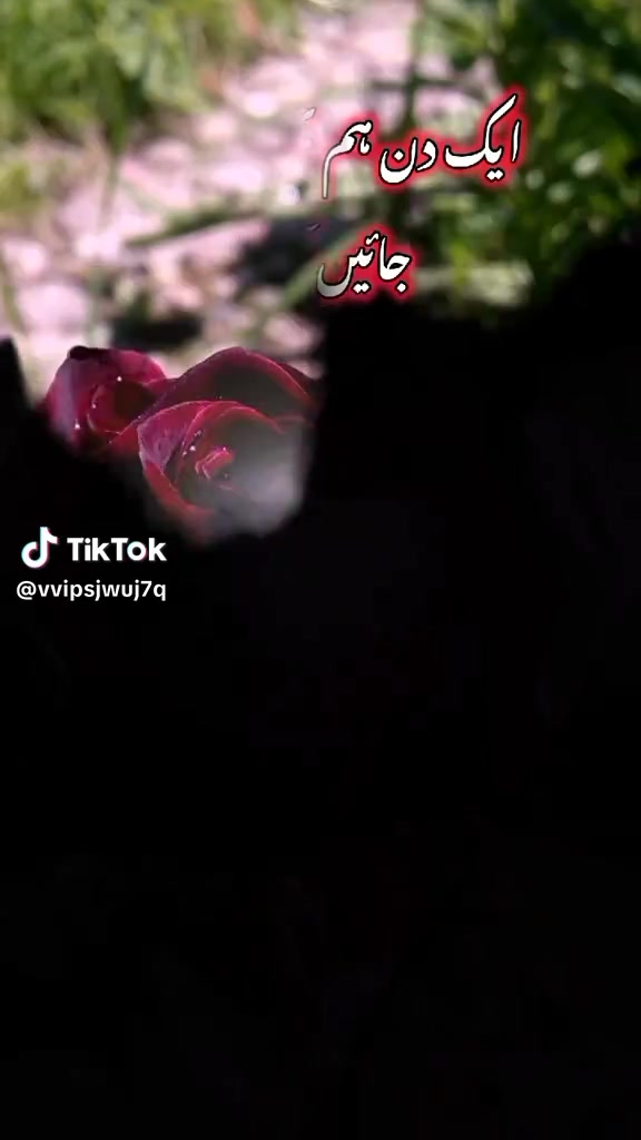 @Nadeem Shaikh