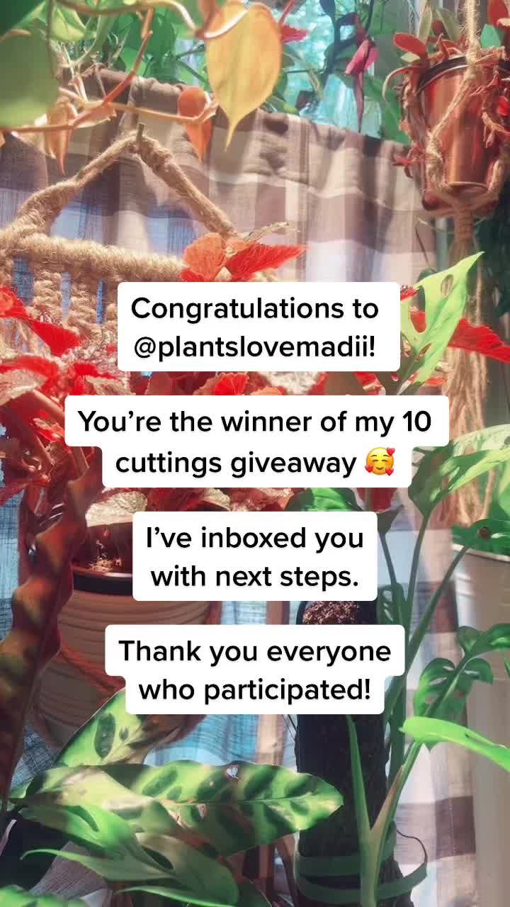 @Island_Plant_Mama