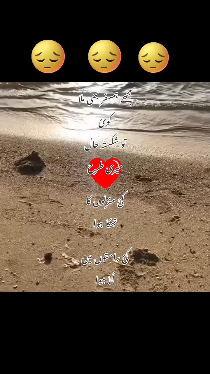 @Gul-e-Noor