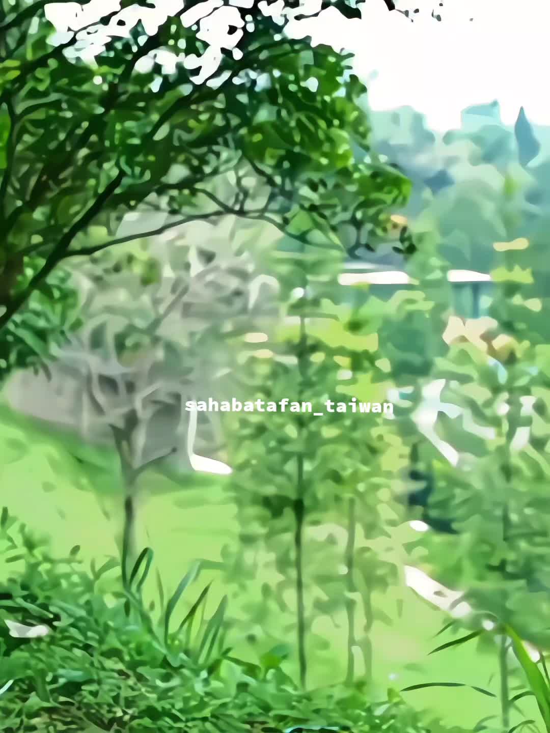 @sahabatafan_ taiwan