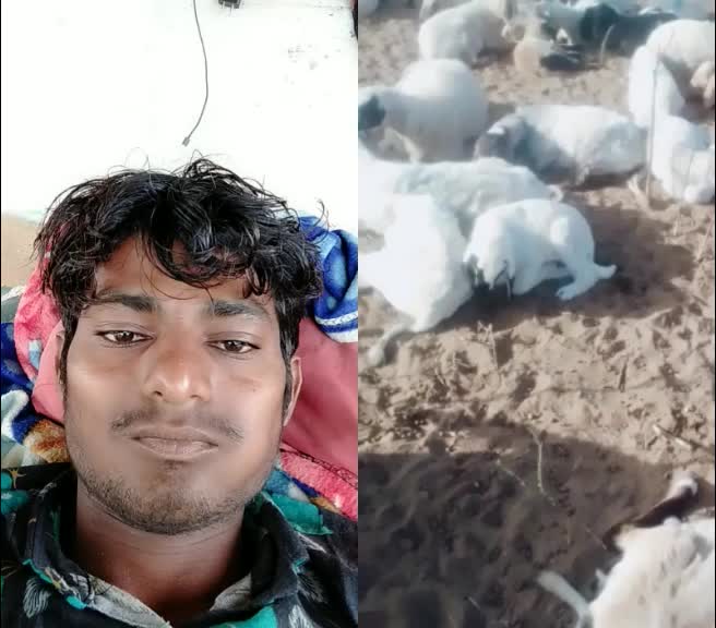 @Dhanji Koli2