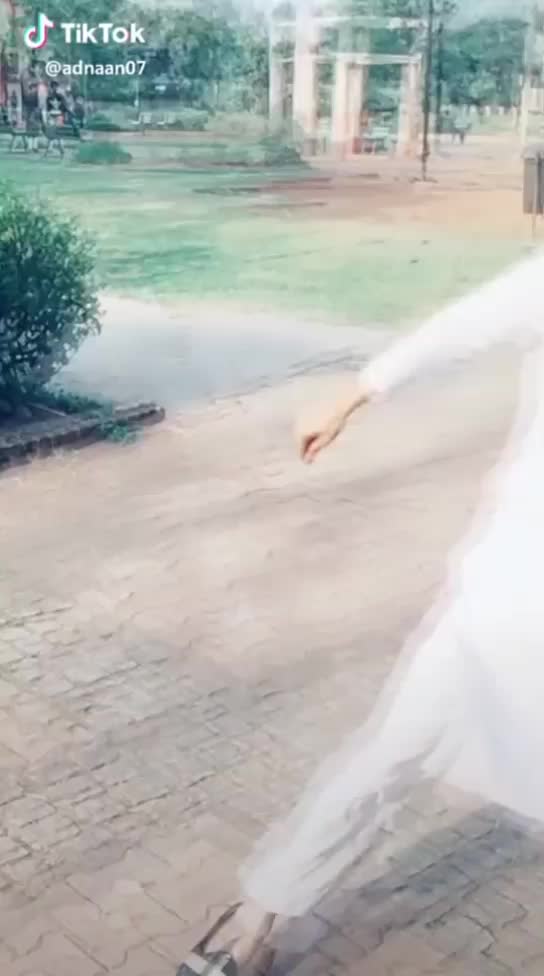 @saymasaiyyed