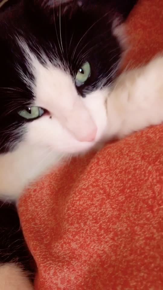 @🍁Juli🍁