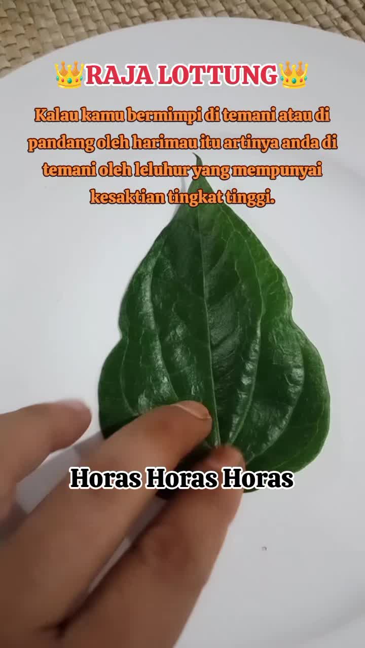 @👑Sakti Raja Simatupang👑