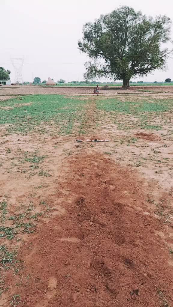 @laltaprasadbaghel