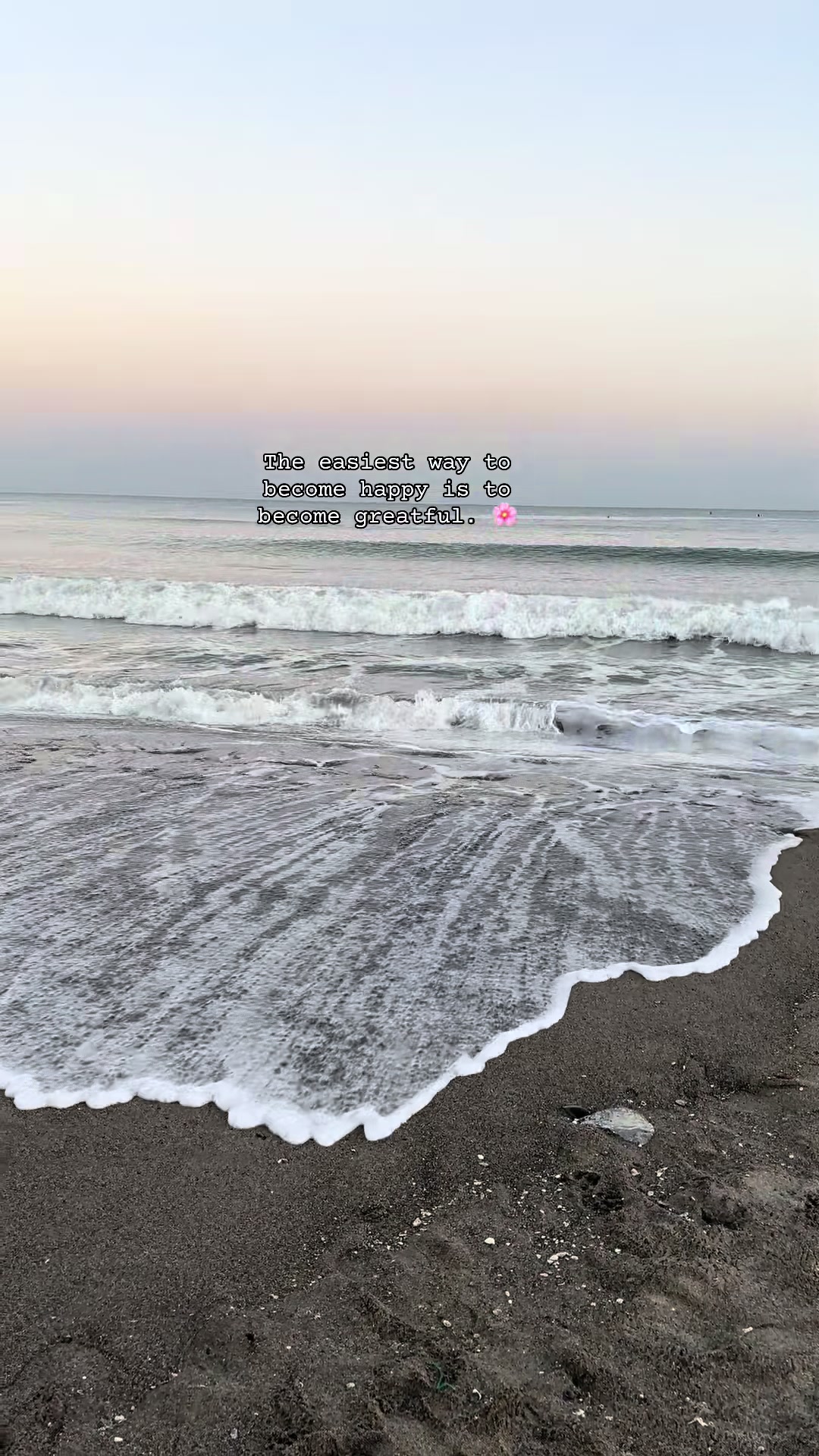 @PeacefullyYours🌸🪽
