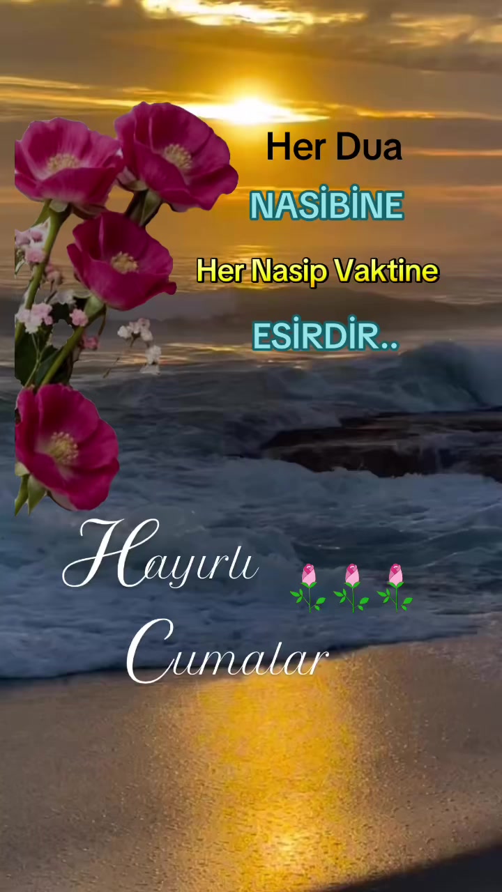 @Arzu safiye