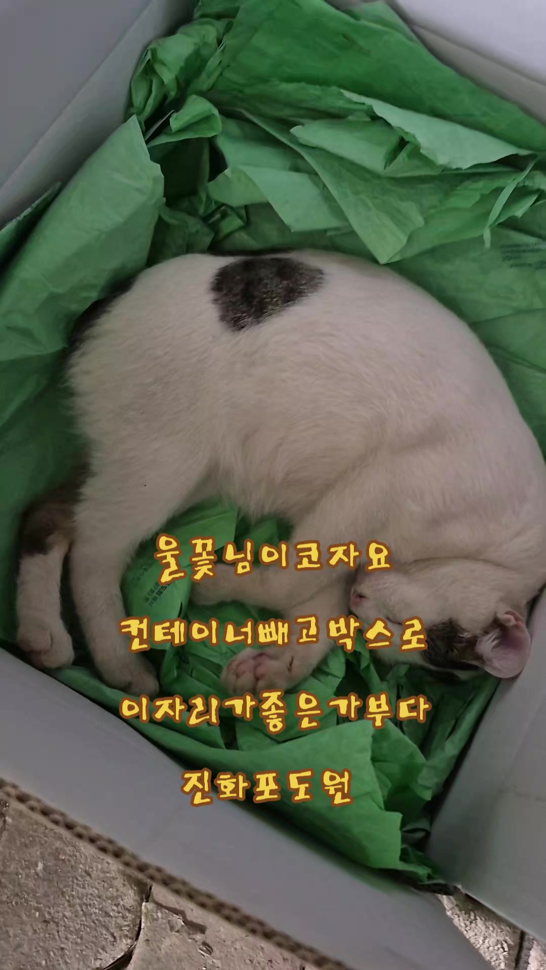 @진화포도원