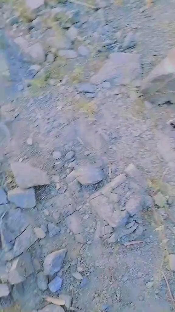 @الماس کوچی