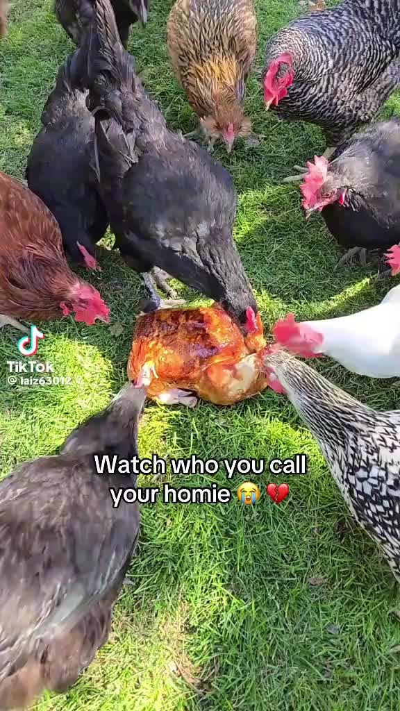 @Alejandro Cabrera