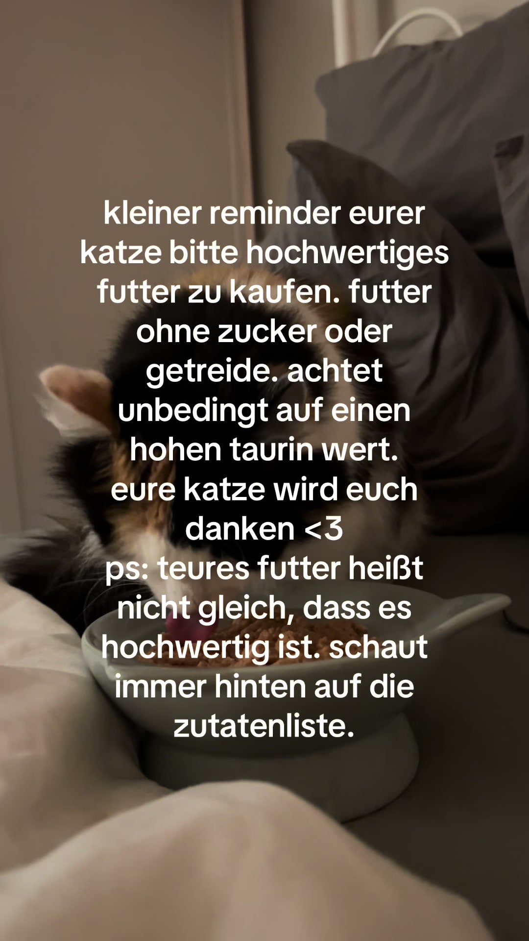 @lahauri