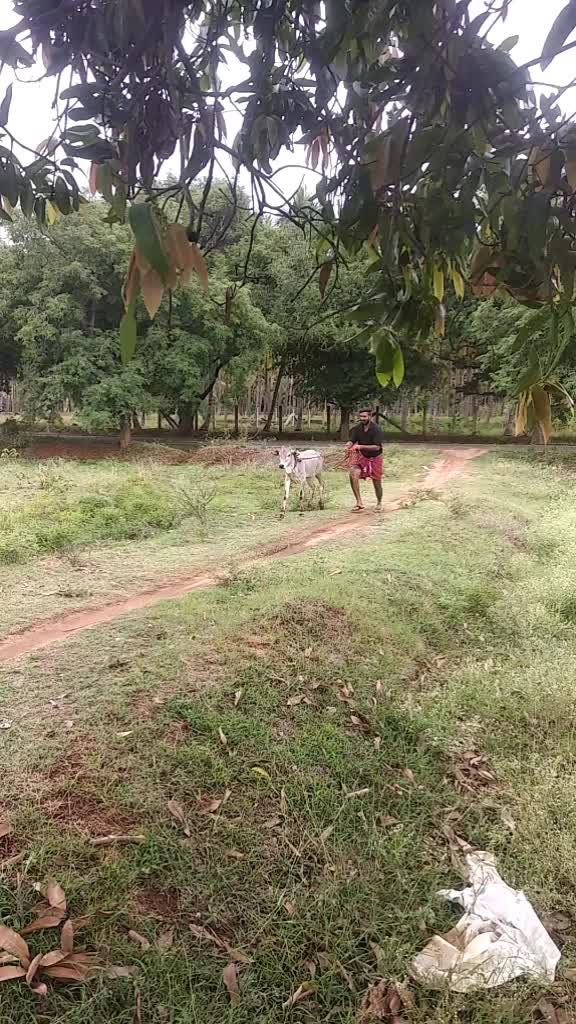 @தேனியின் நண்பன்