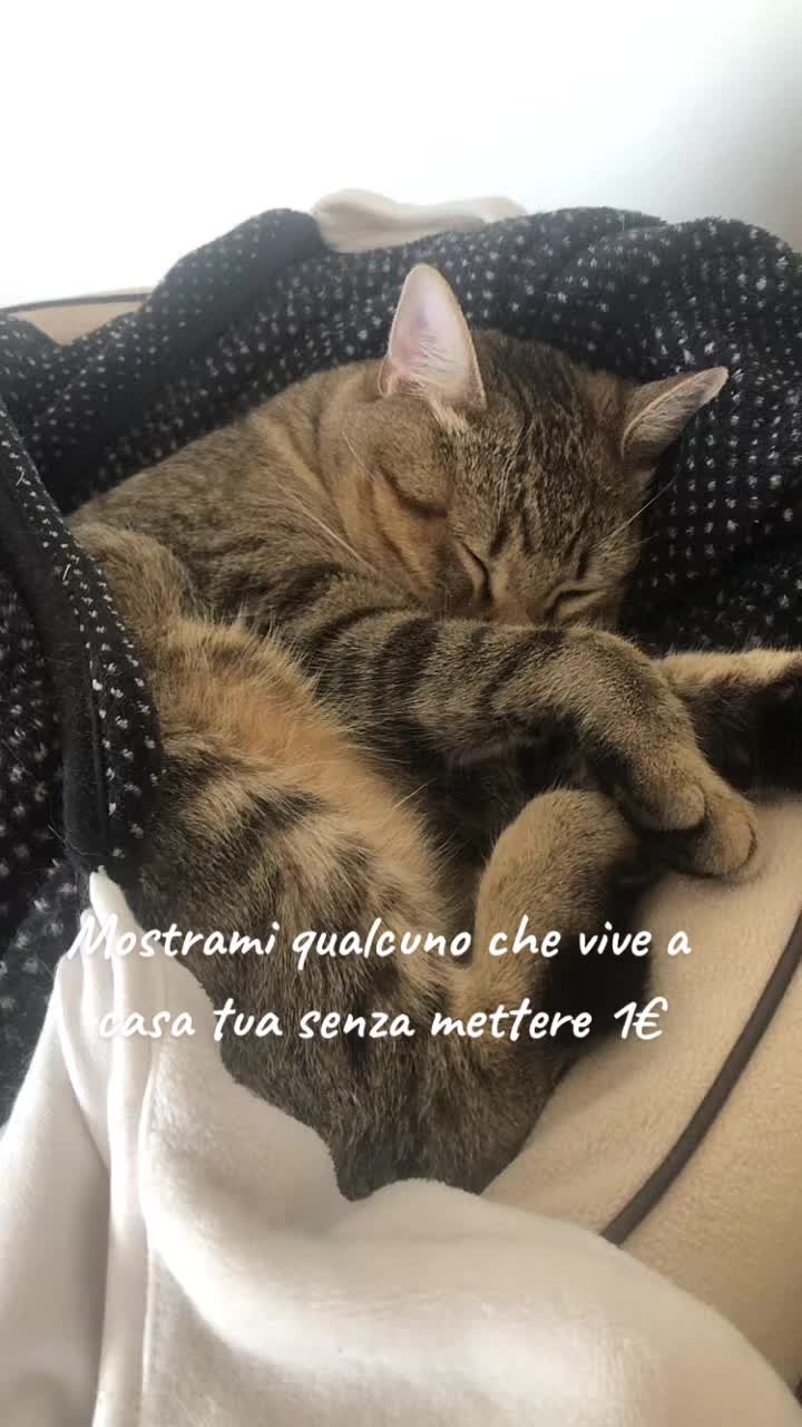 @Giulia Ronchi