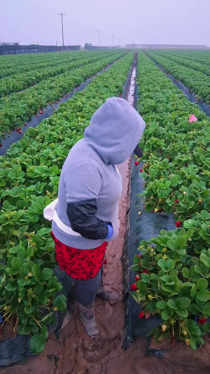 @Lupita 🎧🎵🍓
