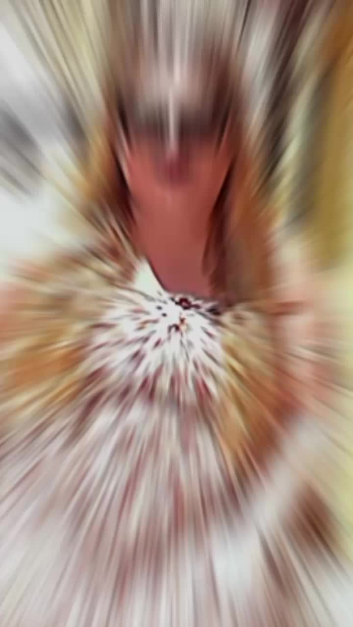 @giusy