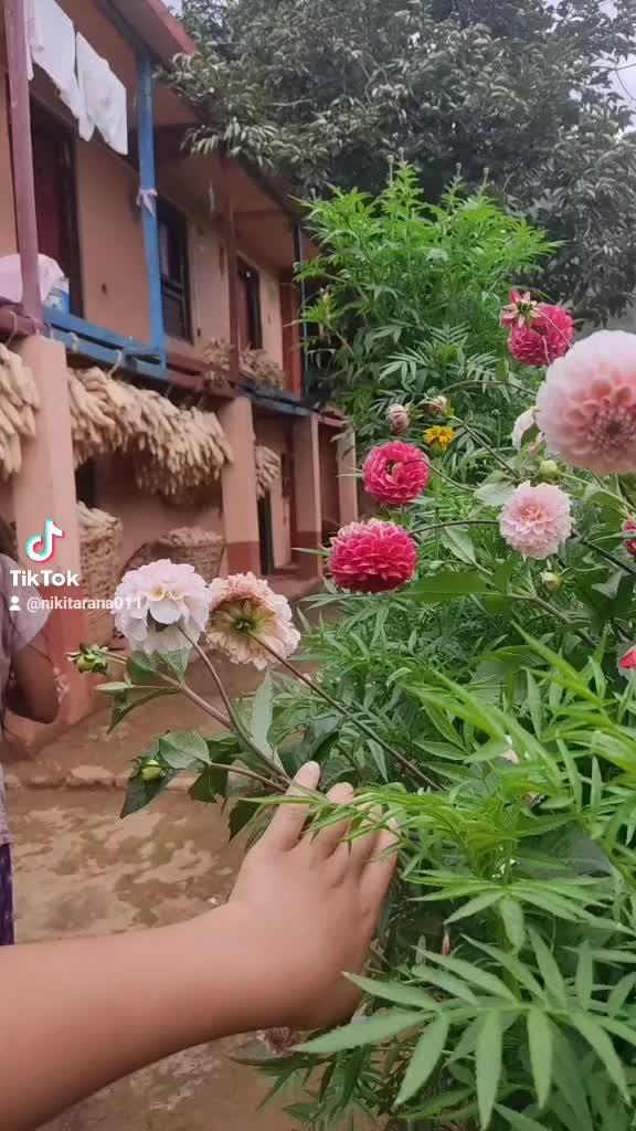 @Nikita Rana
