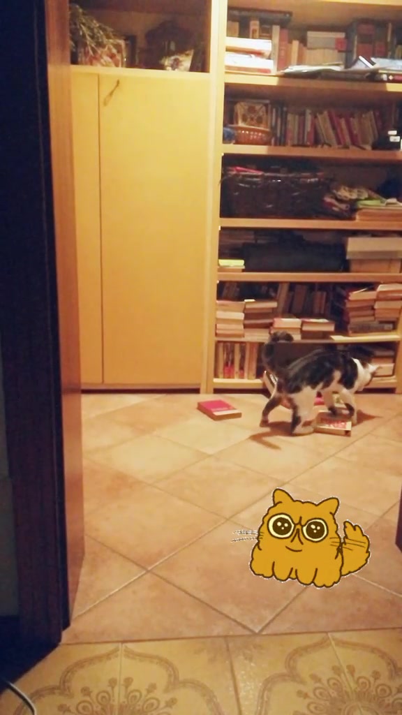 @drinkadri