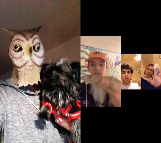 @Owl-Kun