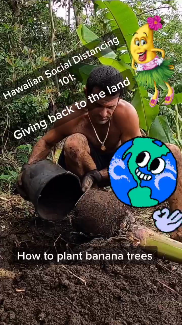 @northshoretreasurehu