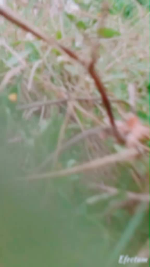 @AjayNegi585