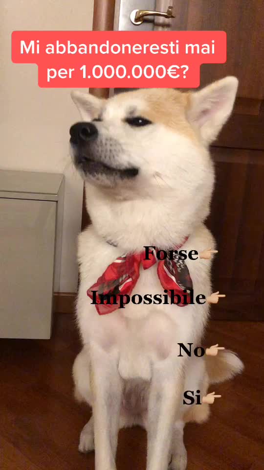 @Germana Timo