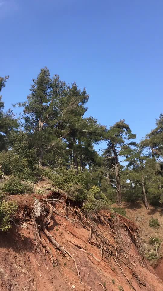 @Yasin girişken