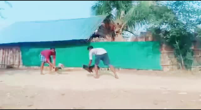 @sarukhan S.A