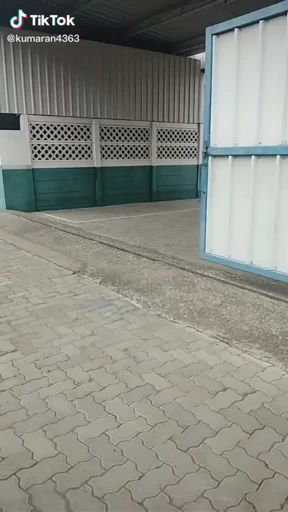 @user205568