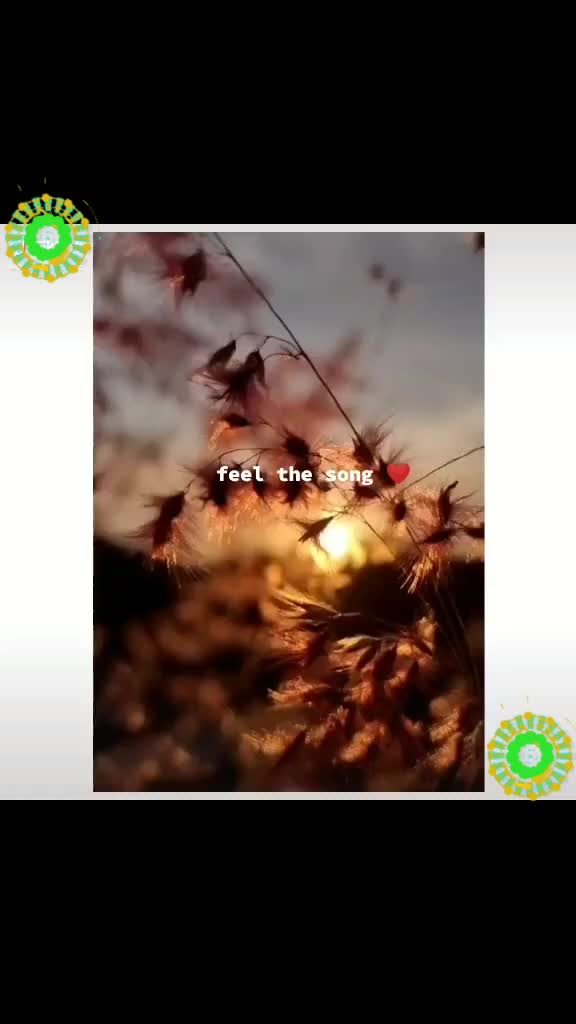 @Rashid07