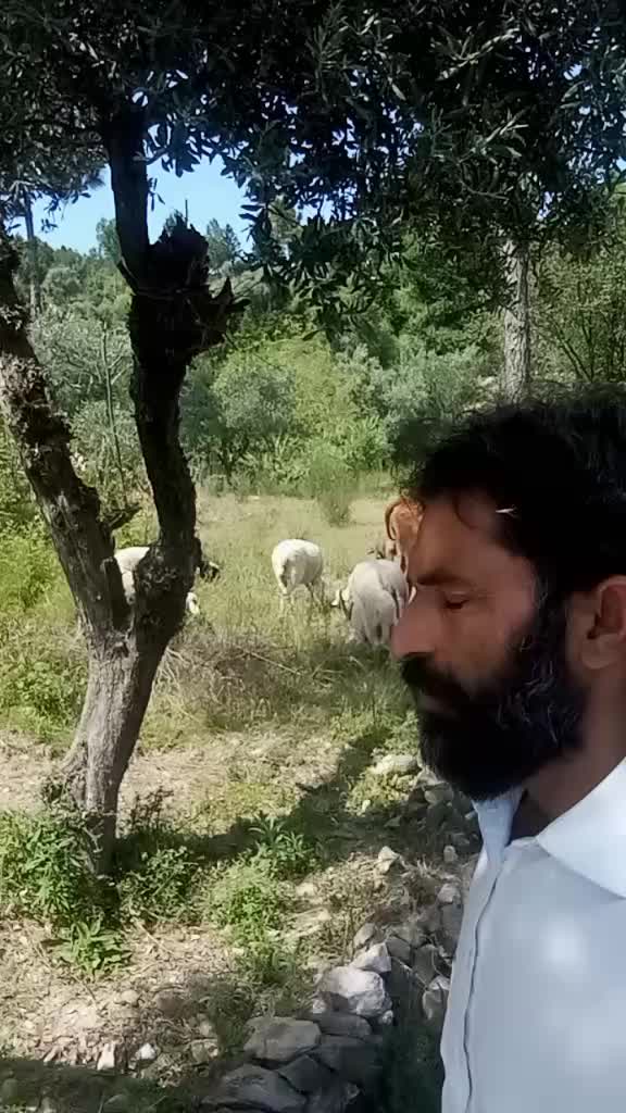 @Da Ghmono Mazigar