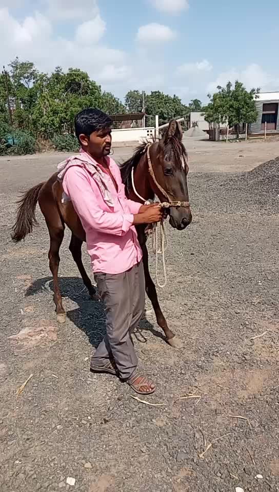 @🚩લાલા સાટીયા🚩